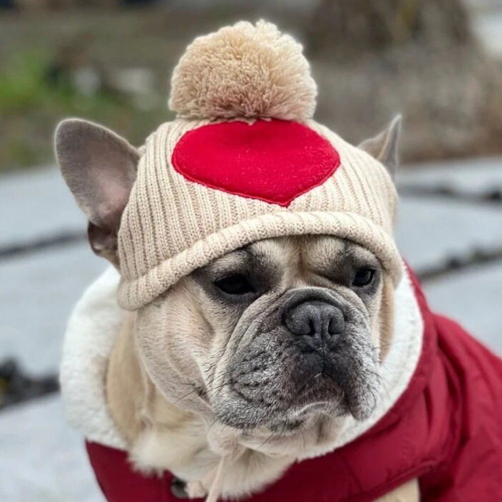 Knit Dog Hat with Ear Holes